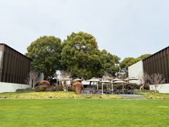 -养云安缦吧THE BAR