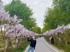 -武汉紫薇都市田园