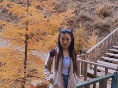 -苏木山森林公园