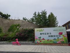 -金龙寺国家森林公园