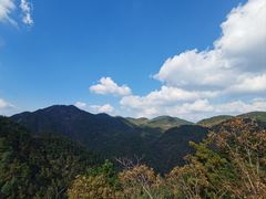 -四明山国家森林公园