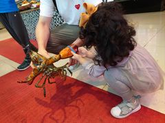 -今鲜源大酒店·中华餐饮名店(新湛路店)