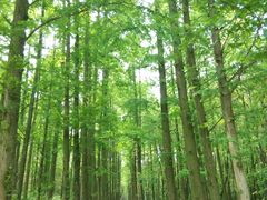 -同里国家湿地公园