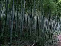 -天目湖涵田度假村
