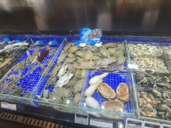 -高佳庄·舟山海鲜(海景旗舰店)