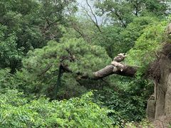 -天津盘山风景名胜区