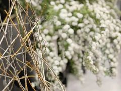 -HELEN FLORAL DESIGN(海上世界文化艺术中心店)