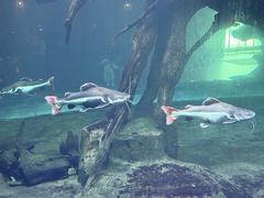 -华夏文旅西安度假区