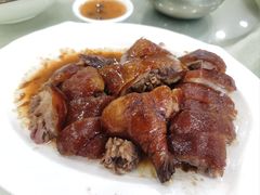 深井烧鹅-姚林轩