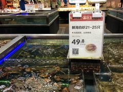 水产区-盒马鲜生(红莲店)