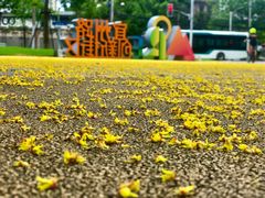 -咖星人E·T coffee·云赛空间