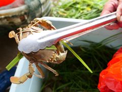 -西门岛码头海鲜馆