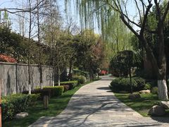 -西安国际创新人才交流中心•药浴温泉