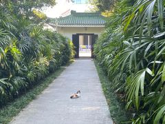 -广州兰圃