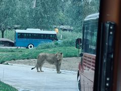 -北京野生动物园