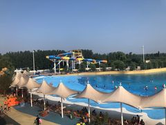 -海盗传奇水世界