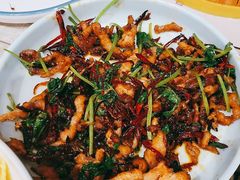 辣炒肉丝-香满园春饼·家常菜(东大桥店)