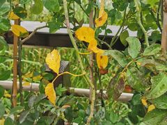 -昆山城市生态森林公园