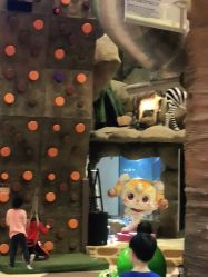 -卡通尼·Safari非洲探索乐园·生日会(金桥国际商业广场店)