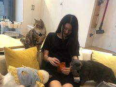 -啵啵喵·猫咖(攀华国际店)