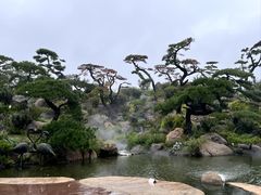 -罗红摄影艺术馆