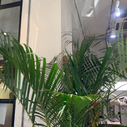 -M+hair salon专业造型沙龙