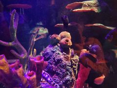 -沈阳海洋探索中心