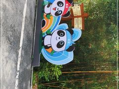 -中国大熊猫保护研究中心雅安碧峰峡基地