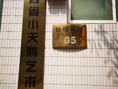 -陕西省小天鹅艺术团