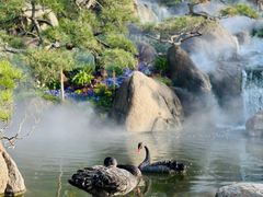 -罗红摄影艺术馆