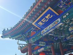 -莲花池公园