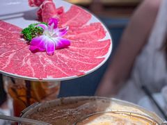 -禄婶鸡煲·打边炉