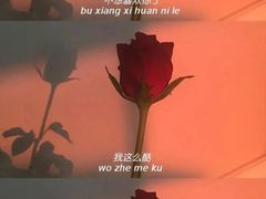 -深圳失恋博物馆再见前任(汇商名苑店)