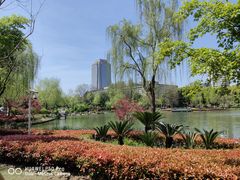-新虹桥中心花园