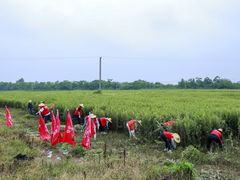 -裕和堂中医推拿艾灸(太古汇臻品店)