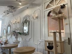 店内布置-共舞时光猫咖·狗咖(新街口店)
