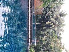 -三亚湾海居铂尔曼度假酒店