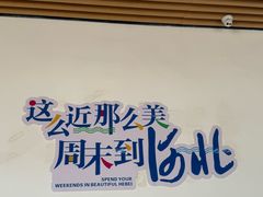 -白洋淀景区