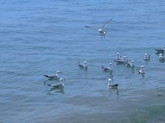 -银沙滩浴场