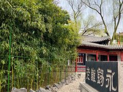 -碑林公园