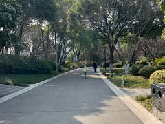 -青枫公园