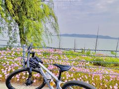 -苏州太湖国家湿地公园
