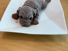 -红小满休闲餐厅(十全街店)