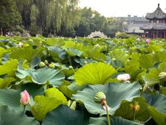 -莲池书院博物馆