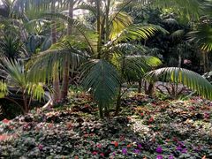 -北京植物园-展览温室