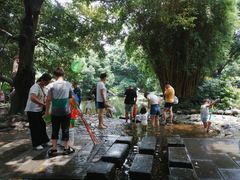 -成都市活水公园