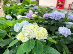 -常德桃花源景区
