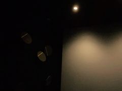 -百美汇影城(LUXE嘉里中心店)