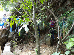 -牛鱼嘴原始生态风景区