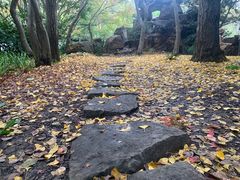 -秋霞圃